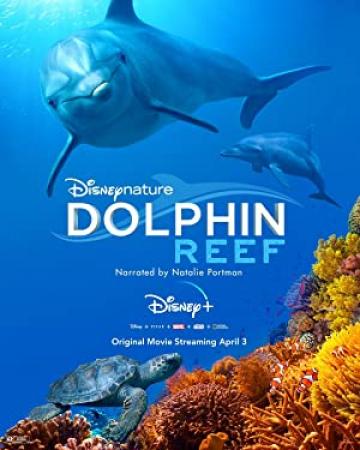 Dolphin Reef 2020 UHD 2160p WebRip HDR DDP 5.1 HEVC-DDR