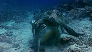 Hostile Planet Series 1 2of6 Oceans 720p HDTV x264 AAC