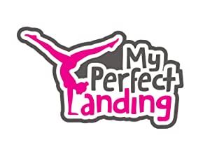 My Perfect Landing S01E14 INTERNAL 720p WEB h264-WEBTUBE[eztv]