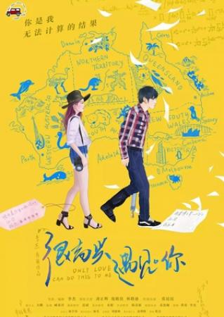 很高兴遇见 你 Only Love Can Do This to Me 2019 HD 1080P X264 ACC BTshoufa[国语中字]