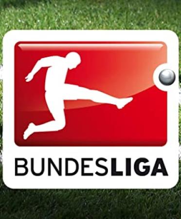Bundesliga 2013-14  20 tour  Hamburger SV - Hertha BSC