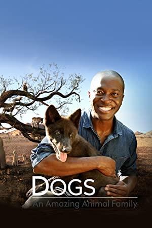 Amazing Dogs S01E01 Mans Best Friend 480p x264-mSD[eztv]