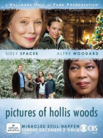 Pictures of Hollis Woods 2007 1080p WEBRip x264-RARBG