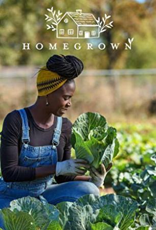 Homegrown 2020 S02E01 XviD-AFG