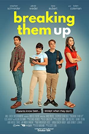 Breaking Them Up 2020 WEBRip x264-ION10