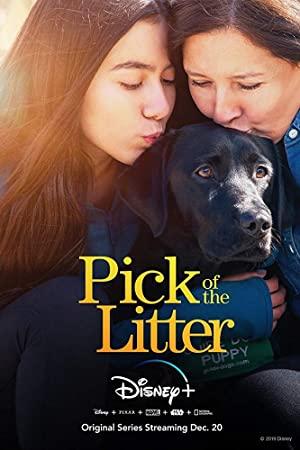 Pick Of The Litter S01 1080p DSNP WEBRip DDP5.1 x264-ASCENDANCE[rartv]