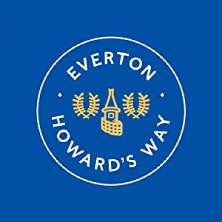 Everton Howards Way 2019 1080p WEBRip x264-RARBG