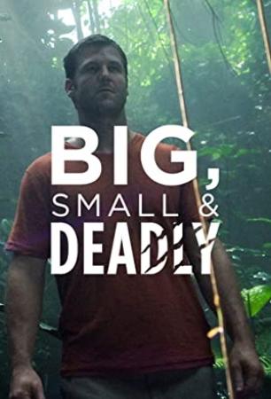 Big Small and Deadly S01E01 Killer Whales 720p HEVC x265-MeGus