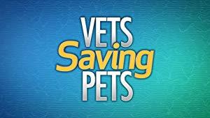Vets Saving Pets S02E24 Heads or Tails HDTV x264-CRiMSON[eztv]