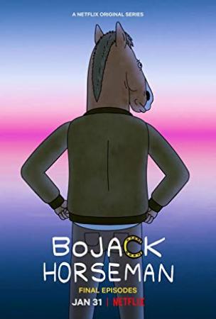 Bojack Horseman S06E09 720p HEVC x265-MeGusta