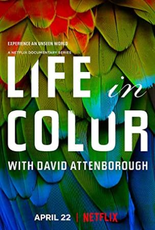 Life in Colour (2021) Season 1 S01 (1080p BluRay x265 HEVC 10bit AAC 2.0 afm72)