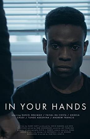 In Your Hands 2010 720p BluRay x264-SONiDO [PublicHD]