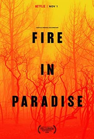 Fire in Paradise 2019 1080p NF WEB-DL DDP5.1 x264-NTG[EtHD]