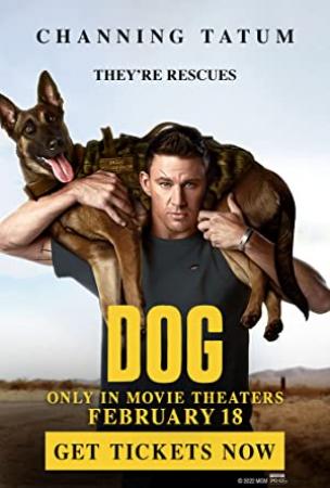 【首发于高清影视之家 】忠犬[简繁英字幕] Dog 2022 BluRay 1080p x265 10bit DDP5.1 L-MiniHD