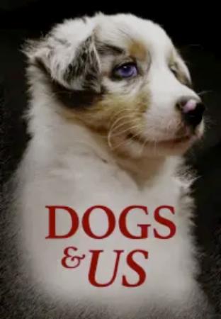 Dogs Us - The Secret Of A Friendship (2020) [720p] [WEBRip] [YTS]