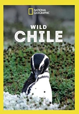 Wild Chile Series 1 2of3 Sea 1080p HDTV x264 AAC