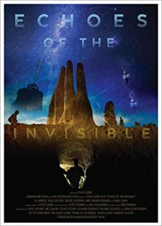 Echoes of the Invisible 2020 WEBRip x264-ION10