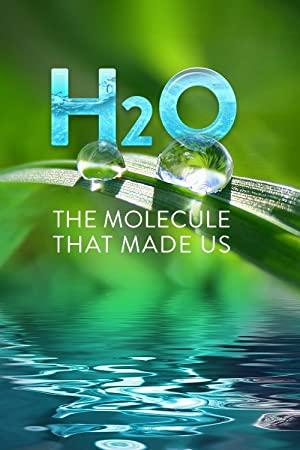H2O The Molecule That Made Us S01E02 480p x264-mSD[eztv]