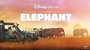 In the Footsteps of Elephant 2020 1080p DSNP WEBRip DDP5.1 x264-MZABI[TGx]