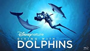 Diving With Dolphins 2020 2160p DSNP WEB-DL DDP5.1 HDR HEVC-DDR