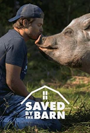 Saved By The Barn S01E10 Reuniting the Herd 720p WEB h264-ROBOTS[eztv]