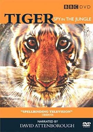Tiger Spy In The Jungle S01 COMPLETE 720p AMZN WEBRip x264-GalaxyTV[TGx]
