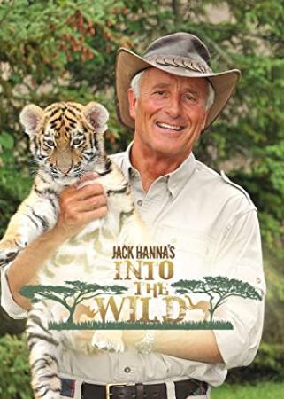Jack Hannas Into the Wild S13E01 Addo Elephant National Park 1080p HDTV x264-CRiMSON[rarbg]