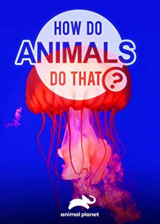 How Do Animals Do That S01E01 Levitating Lizards and Immortal Jellyfish 720p AMZN WEB-DL DDP2.0 H.264-NTb[TGx]