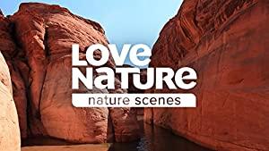 Nature S26E07 Crash A Tale of Two Species HDTV XviD-FQM