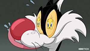 Looney Tunes Cartoons S01E03 PROPER 480p x264-mSD