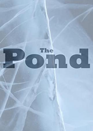 The Pond 2021 HDRip XviD AC3-EVO