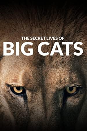 The Secret Lives of Big Cats S01E06 1080p WEBRip x264-TViLLAGE