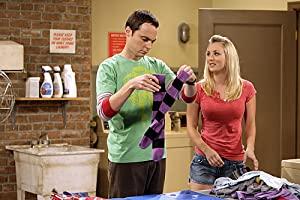The Big Bang Theory S02E01 The Bad Fish Paradigm 480p WEB-DL x264-mSD