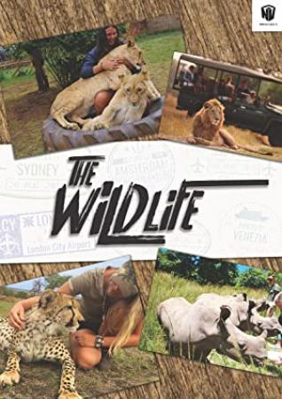 The Wild Life 2016 [ Bolly4u org ]  English BRRip 694MB 1080p