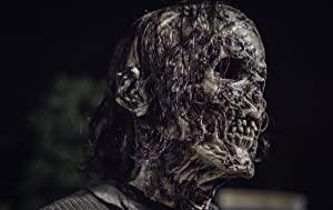 The Walking Dead S11E08 XviD-AFG