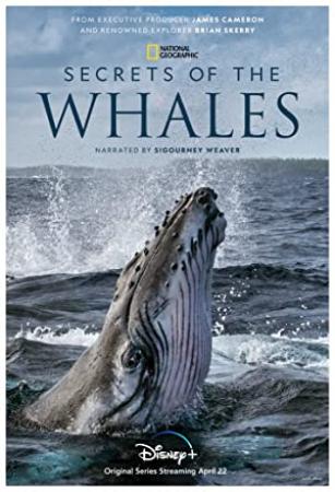 Secrets Of The Whales S01 720p DSNP WEBRip DDP5.1 x264-LAZY[eztv]