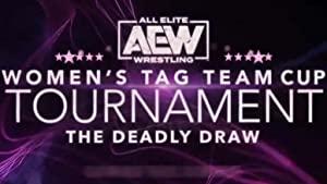 AEW 2019-05-25 Double or Nothing The Buy In WEB-DL AAC2.0 H.264[eztv]