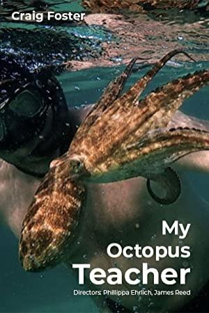 My Octopus Teacher (2020) [1080p] [WEBRip] [5.1] [YTS]