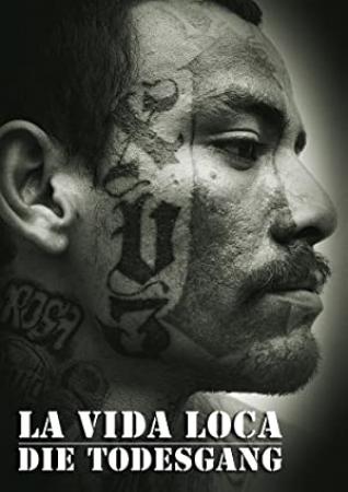 La Vida Loca 2008 SWESUB WEBRip-Cosumez