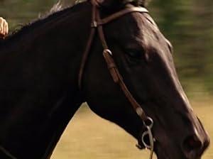 Heartland S02E03 Gift Horse 1080p BluRay DDP5.1 H.264-NTb[TGx]
