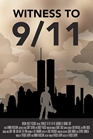 Witness to 9 11 in the Shadows of Ground Zero 2020 WEBRip XviD MP3-XVID