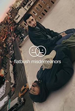 Flatbush Misdemeanors S02E08 XviD-AFG[TGx]