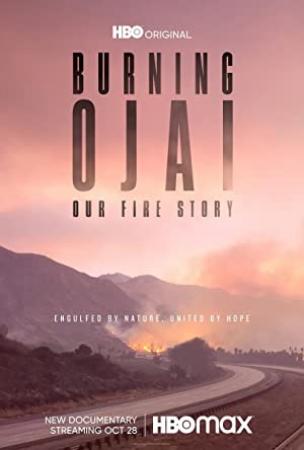 Burning Ojai Our Fire Story 2020 WEBRip XviD MP3-XVID