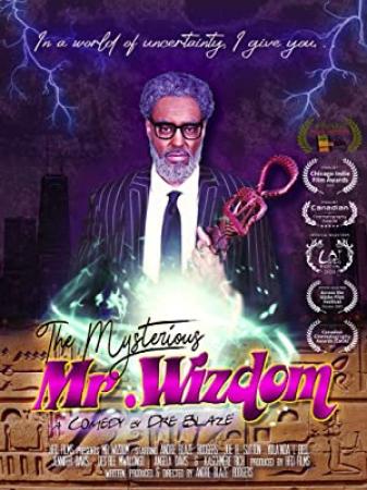 The Mysterious Mr Wizdom 2021 HDRip XviD AC3-EVO