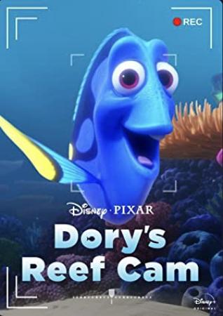Dorys Reef Cam 2020 YG