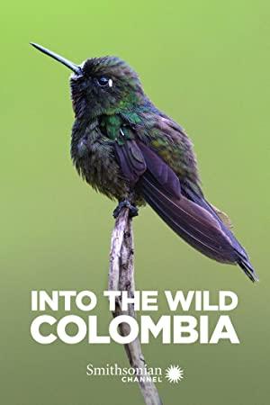 Into the Wild Colombia S01E02 The Hummingbirds Quest WEB h264-CAFFEiNE[TGx]