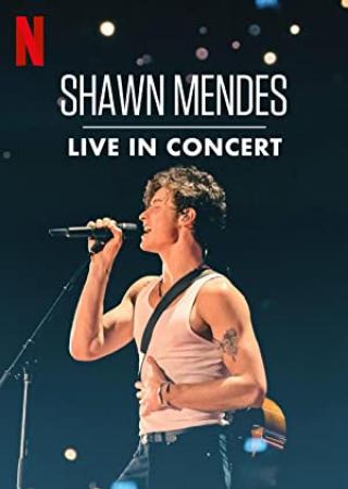 Shawn Mendes Live in Concert 2020 720p NF WEBRip DDP5.1 x264-NWD