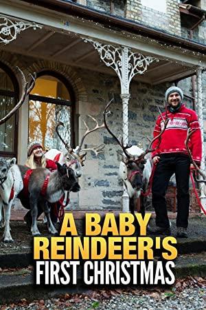 A Baby Reindeers First Christmas 2020 720p HDTV x264-DARKFLiX[rarbg]