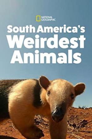 South Americas Weirdest Animals S01 1080p DSNP WEBRip DDP5.1 x264-NTb[eztv]