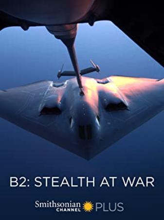 B2 Stealth At War 2013 1080p AMZN WEBRip DDP2.0 x264-WELP